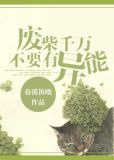 废柴千万不要有异能