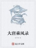 大唐乘风录