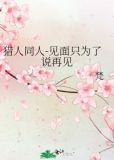 猎人同人-见面只为了说再见