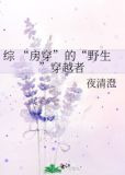 综 “房穿”的“野生”穿越者