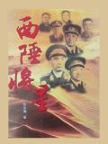 西陲将星