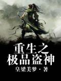重生之神级盗贼 小说