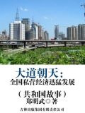 大道朝天：全国私营经济迅猛发展