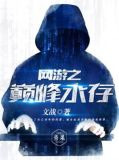 网游之巅峰永存