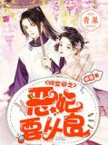 VR空间之恶妃要从良