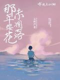 那年樱花未凋落