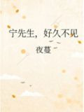 宁先生，好久不见
