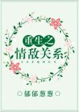 重生之情敌关系